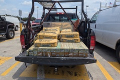 PXL_20240720_173745874