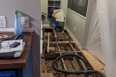 PXL_20240215_002444384