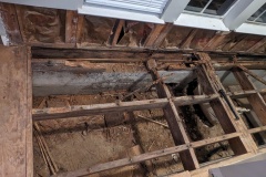 PXL_20240215_011255984