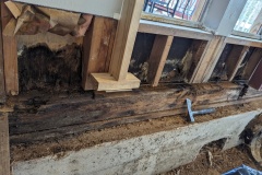 PXL_20240215_224459972