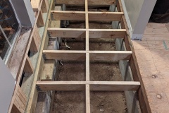 PXL_20240217_041335051