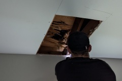 1_PXL_20240710_183230232