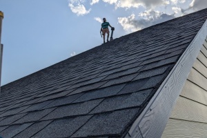 Roofing Transformations