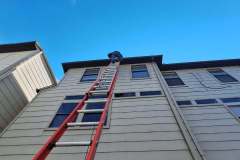 1_image000001-2