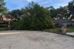 PXL_20240708_235357023