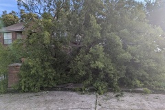 PXL_20240708_235406772