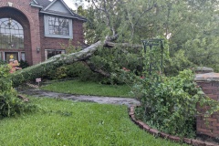 PXL_20240708_235418899