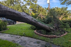 PXL_20240708_235440270