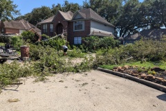 PXL_20240709_204743545.MP_