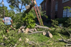 PXL_20240709_204757485