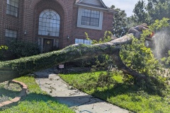 PXL_20240709_205043610