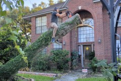 PXL_20240709_235248840.TS_exported_19473_1720736927896